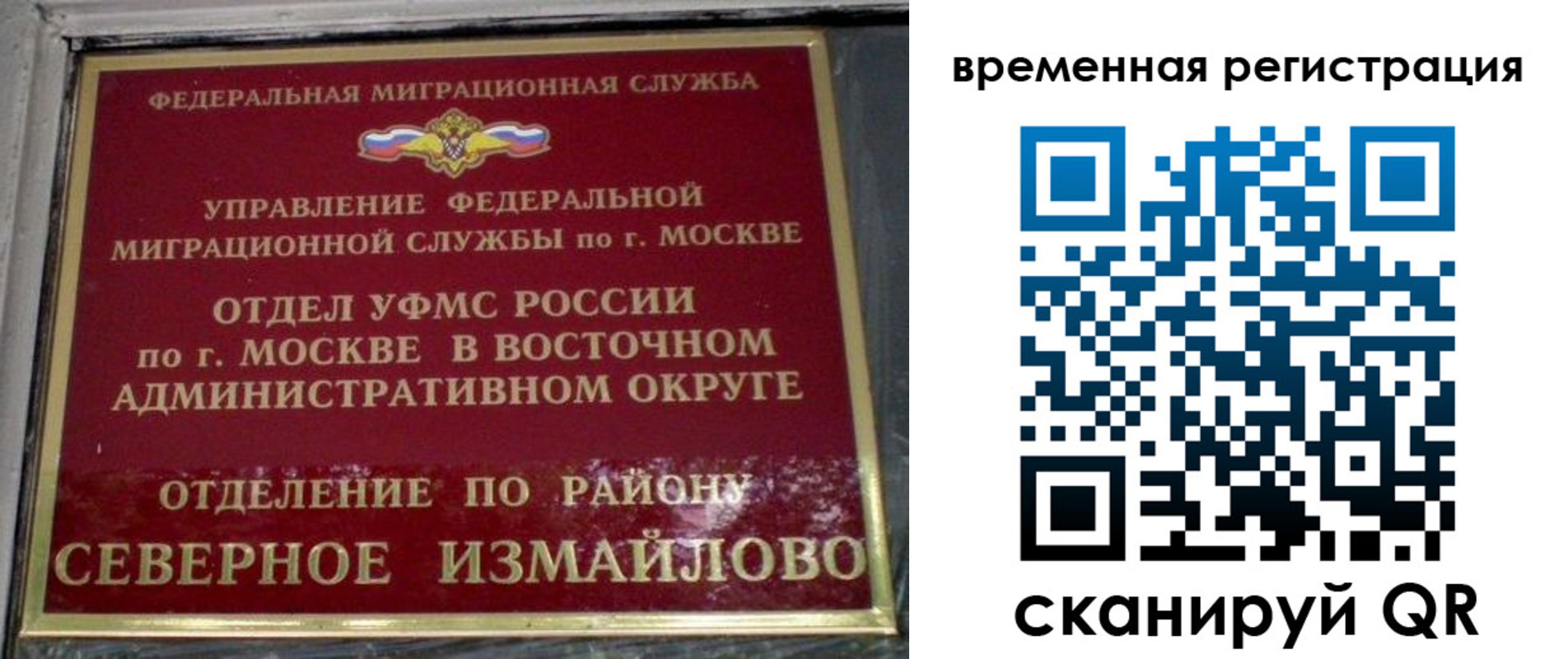 где прописаться в Сосновом Бору